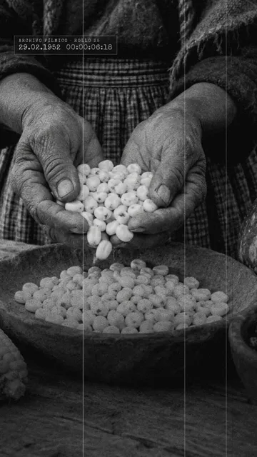 Video vertical: Documental 16 mm, hecho por Claude